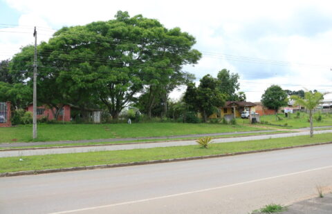 VENDE LOTE NA COLÔNIA FRANCESA