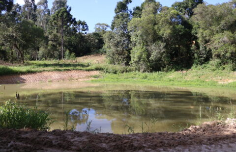 VENDE CHÁCARA NO PINHEIRAL DE BAIXO