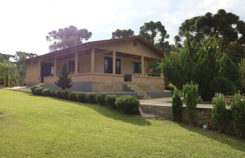 VENDE CHÁCARA NA VILA PALMIRA