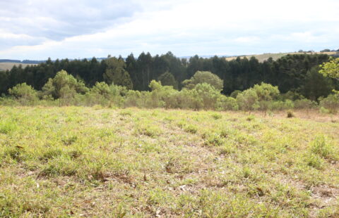 VENDE TERRENO RURAL NA COLÔNIA FRANCESA