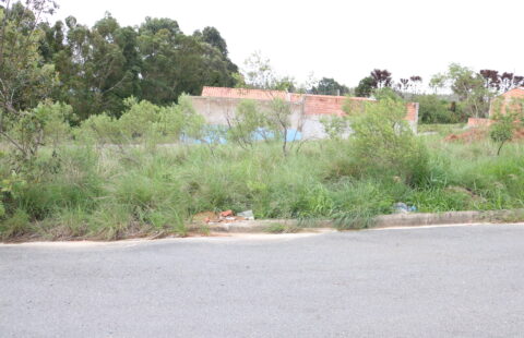 VENDE TERRENO NO LILY BACILA