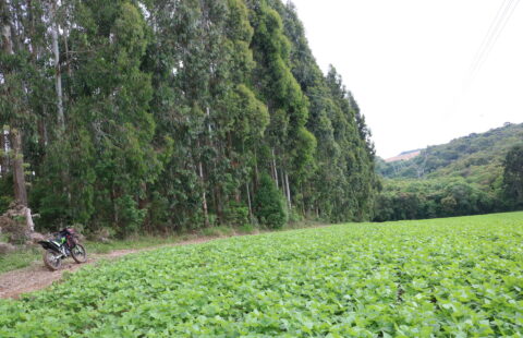 VENDE TERRENO NA SANTA BÁRBARA