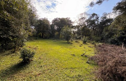VENDE TERRENO RURAL NA VILA PALMIRA