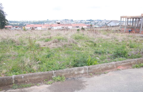 VENDE LOTE NO LILY BACILA