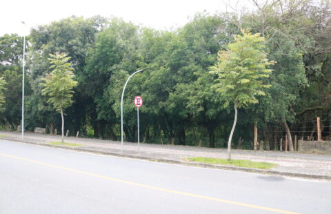 VENDE LOTE NO CENTRO