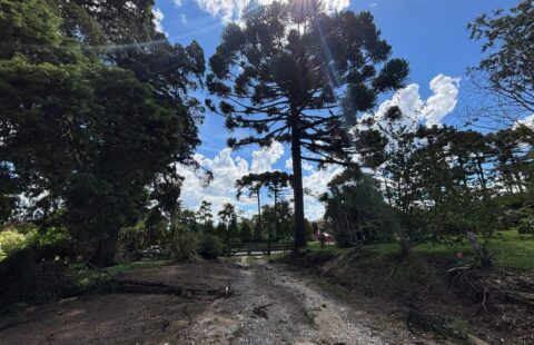 VENDE CHÁCARA EM WITMARSUM