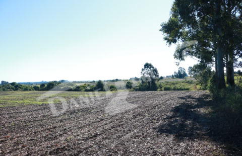 VENDE LOTE DE TERRENO EM WITMARSUM