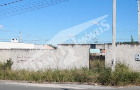 VENDE LOTE COM EXCELENTE METRAGEM NO LILY BACILA