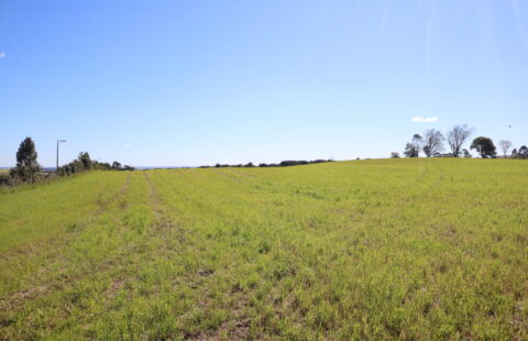 VENDE TERRENO RURAL EM WITMARSUM